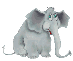 elefanten-elephants-31