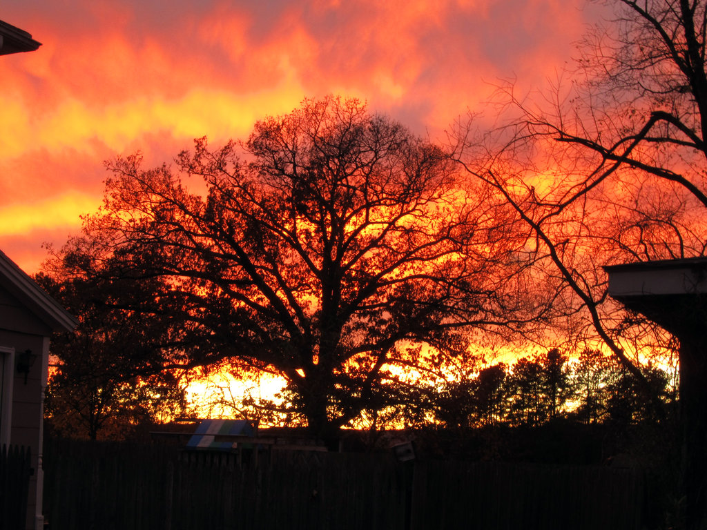Bilder-Thread sunset 7 by numb1-d6w9813