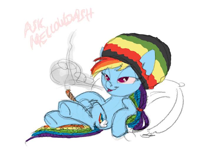 204268  safe rainbow-dash tumblr artist-