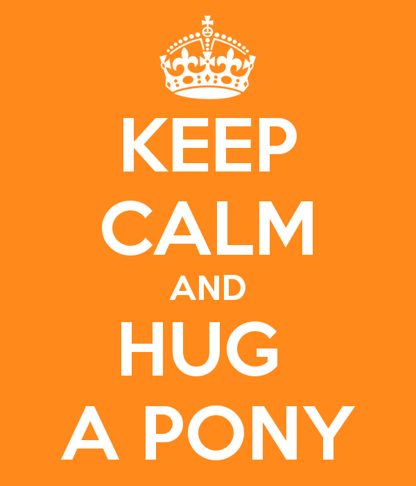 keep-calm-and-hug-a-pony-14