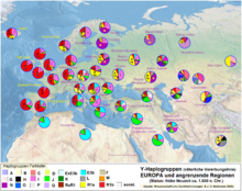 220px-Haplo-Y-Europa