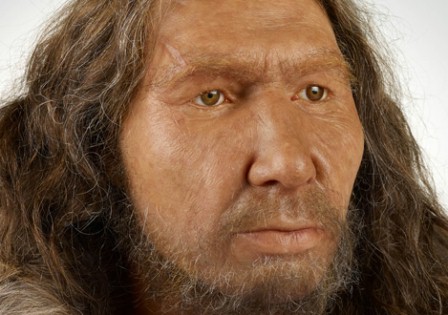 Forschung Projekte Neandertaler 4 Bilder