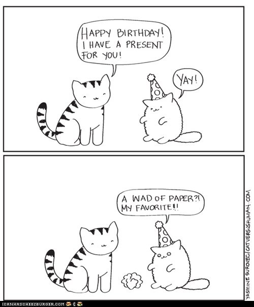 Bilder-Thread funny-pictures-birthday-shopping-for-cat