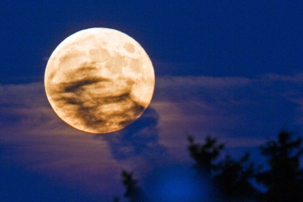 vollmond-DW-Wissenschaft-Frankfurt-main