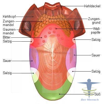 Der-Zunge