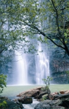 article-0-02C72FC400000578-302 233x367