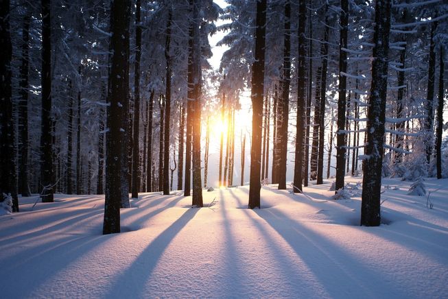 winter-solstice-facts.jpg.653x0 q80 crop