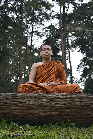 300px-Buddhist monk meditation