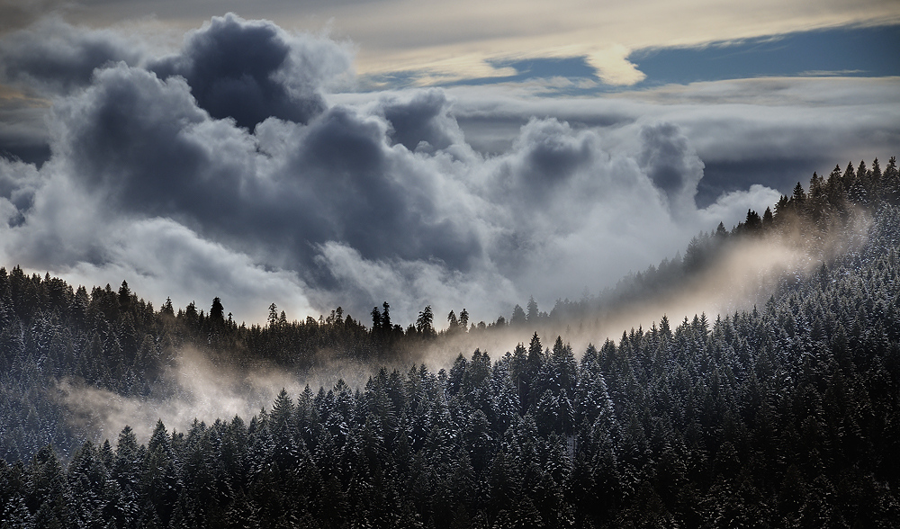 Bilder-Thread nordschwarzwald-48b19c60-48c5-4fd2-8f79-