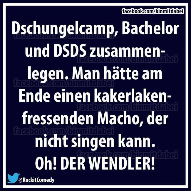 wenn-man-dschungelcamp-bachelor-und-dsds