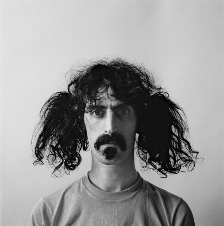 D0T34a frank-zappa