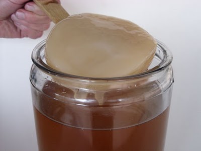 kombucha jar