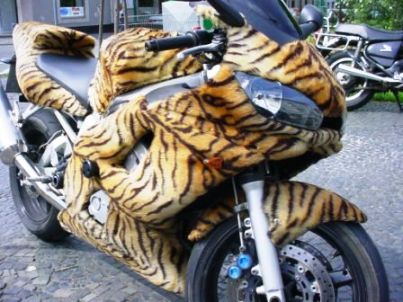 kDJrw0 tiger skin motorbike