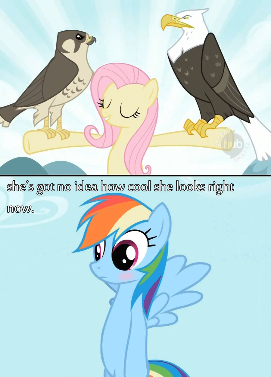 flutterdash comic falcon eagle by dexio