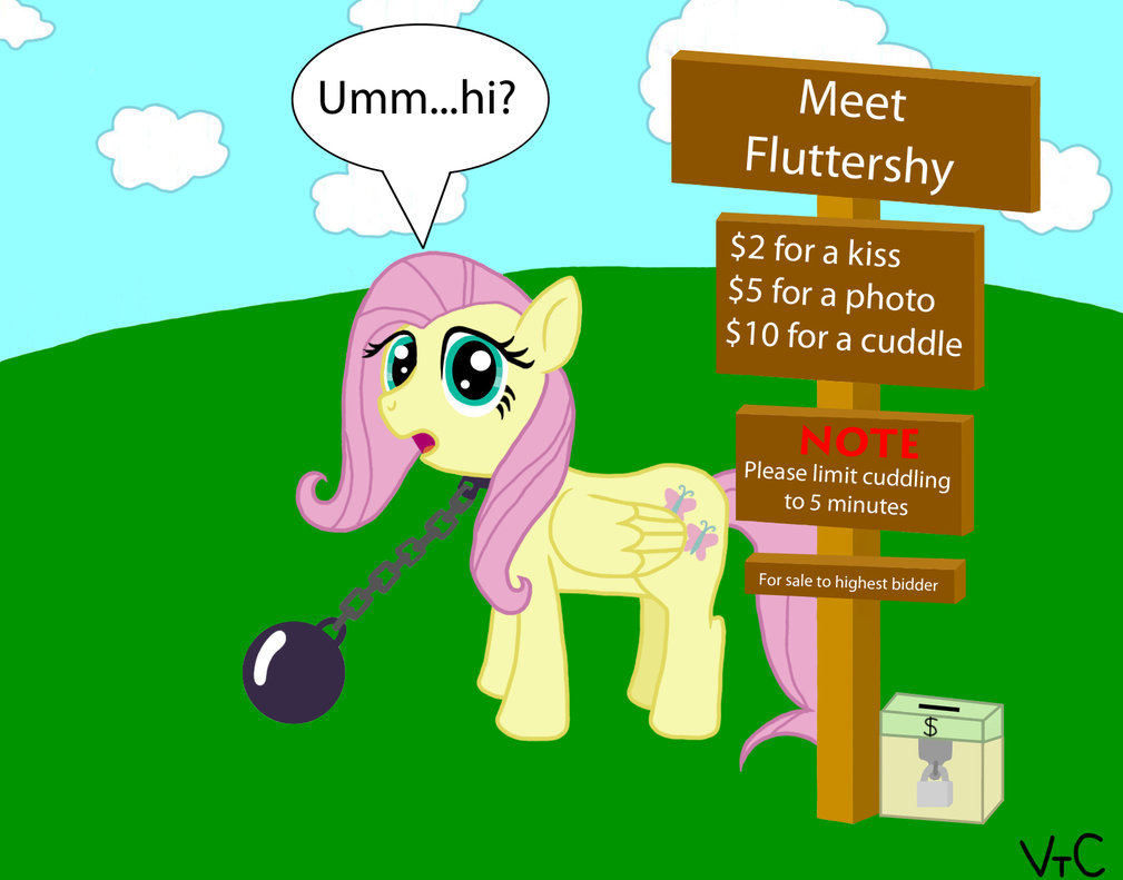 meet fluttershy by vincentthecrow-d4gs5z