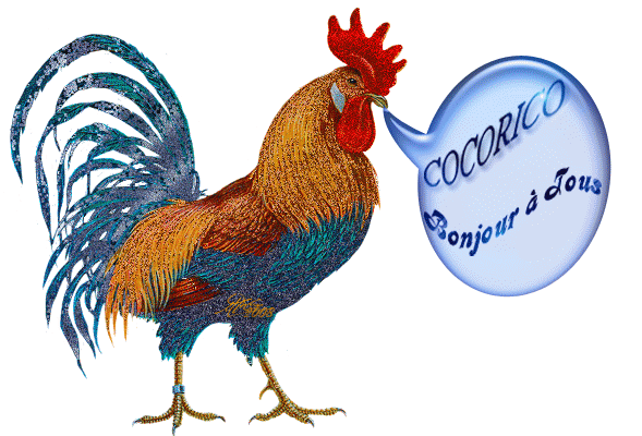 bonjouratouscocorico1