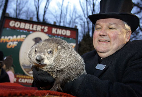 3cc6d5 punxsutawney-phil