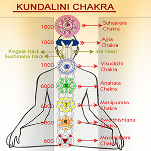 kundalini chakras