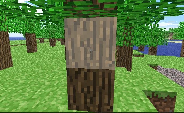 Wood