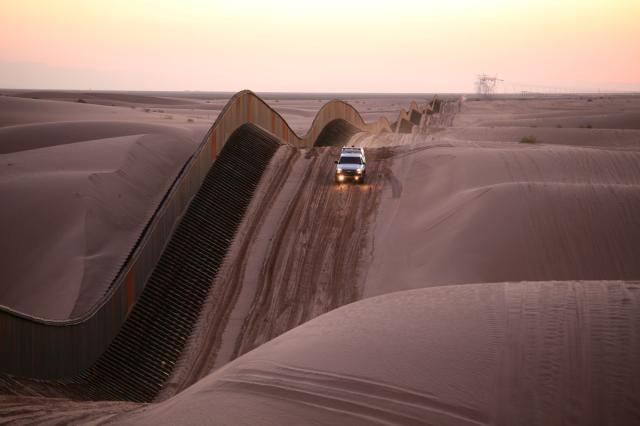 Algodones sand-dune-fence