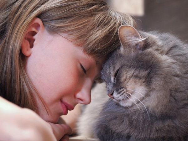 maedchen-und-katze-kopf-an-kopf-haben-si