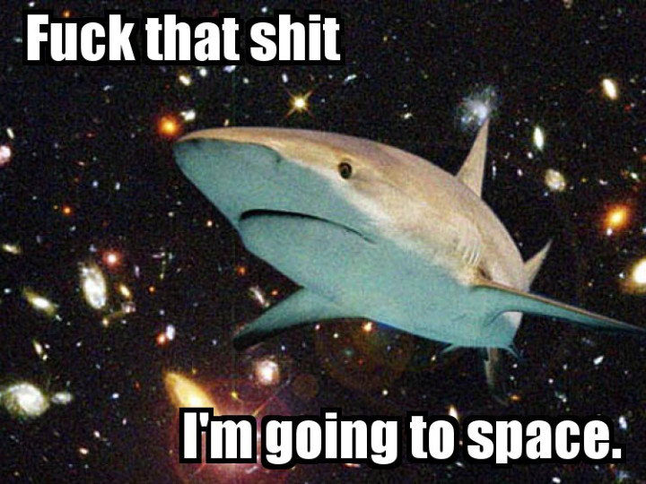 fuck that space shark