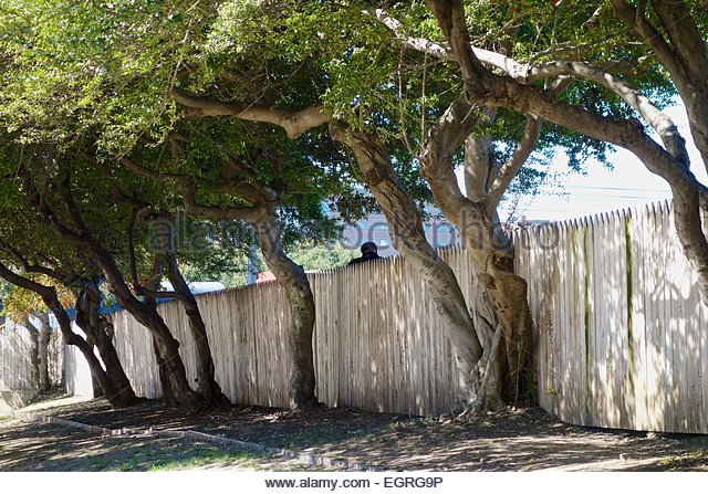 te48192 picket fence on the grassy knoll