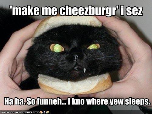 Bilder-Thread funny-pictures-angry-cat-knows-where-you