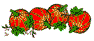 smileys-pumpkins-735029