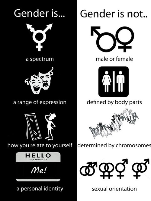 ta50253 gender-is-gender-is-not