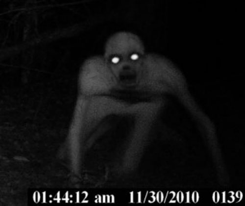 t87229b Dover-Demon-cryptozoology-314641