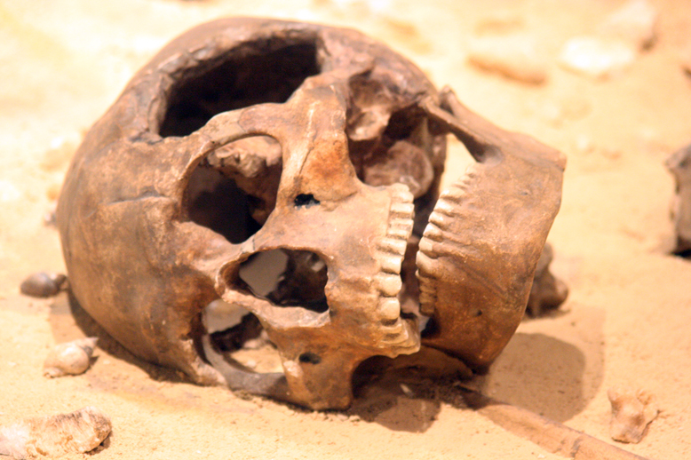 Bilder-Thread totenkopf1
