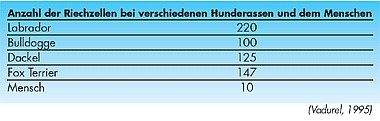 p20 tableau