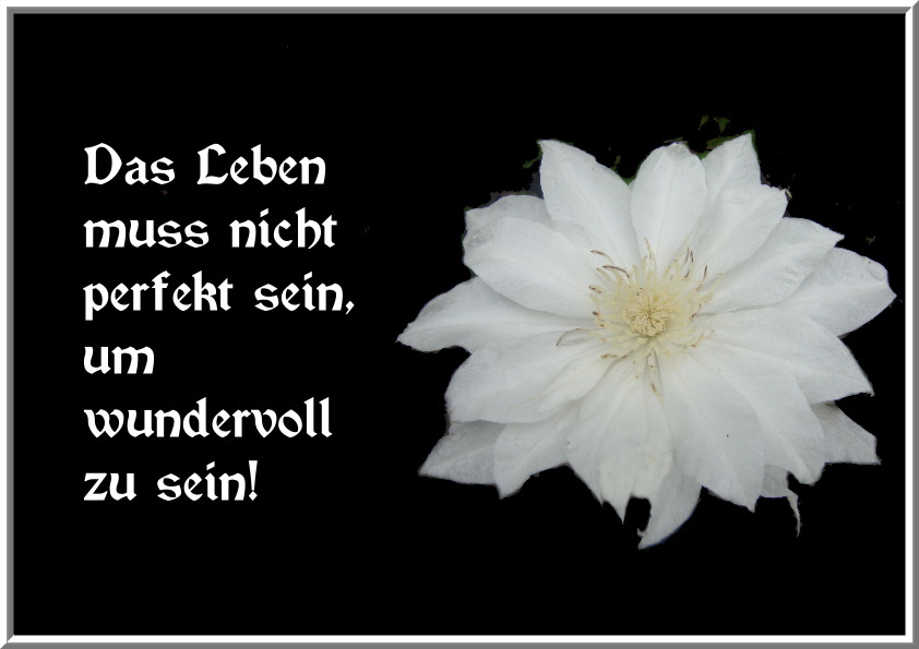 in-diesem-sinne-wuensche-ich-euch-einen-