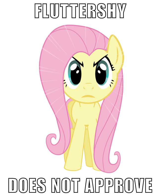 fluttershy does not approve by computers