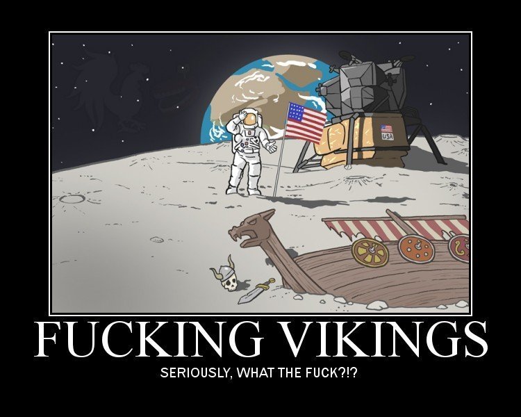 damn-vikings 183055