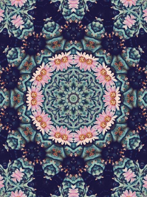 tumblr n5olepnvD61ru64tro1 500