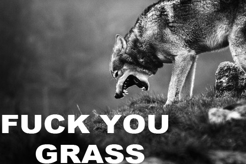 FUCK YOU GRASS Img01