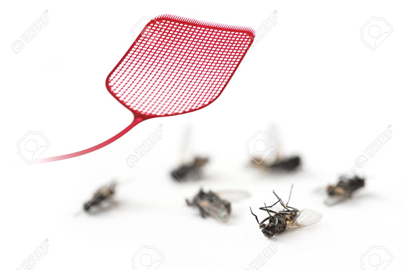 103907795-red-flyswatter-and-dead-flies-