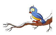 animated-bird-image-0622