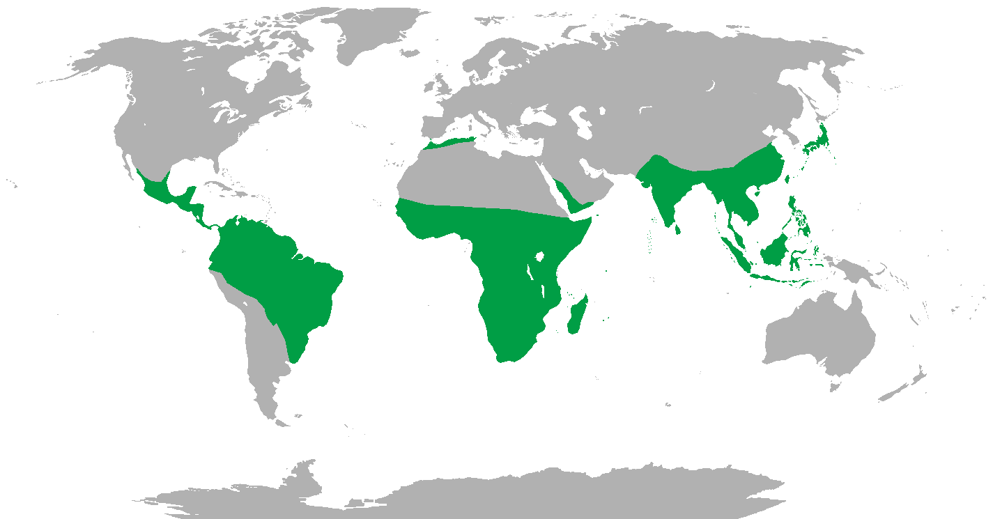 Range of Non human Primates