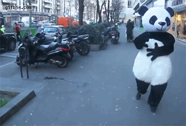 1331836747 freaky street panda intimidat