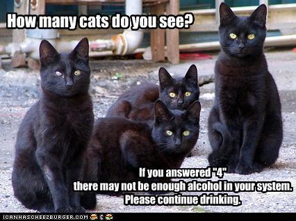 Bilder-Thread funny-pictures-sobriety-test