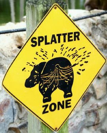 splatter-zone