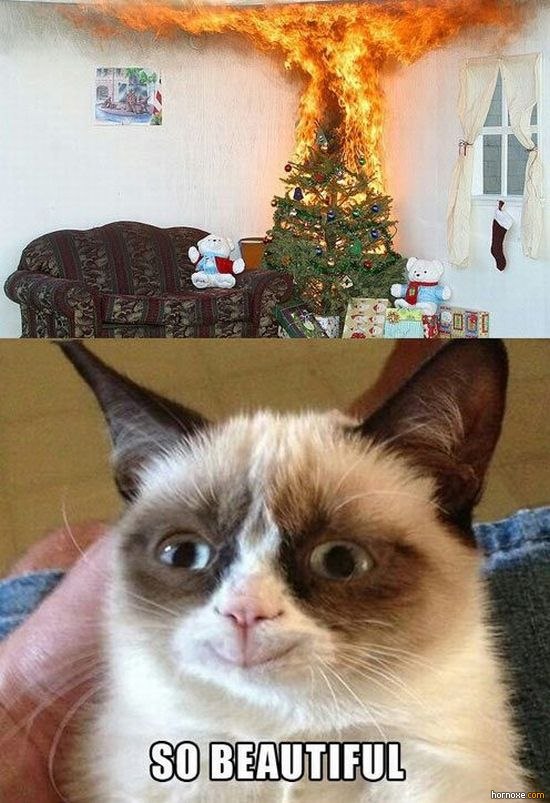 Bilder-Thread hornoxe.com picdump289 057