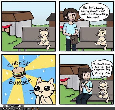 Bilder-Thread t2aHQnm funny-pictures-kitteh-komic-ob-teh-day-d
