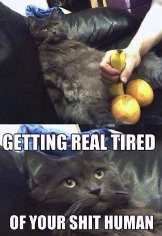 Bilder-Thread picdump-14-03-28-114