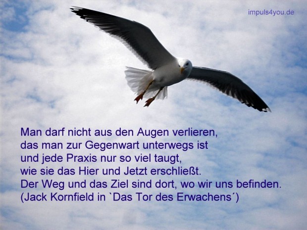 Taubespruch