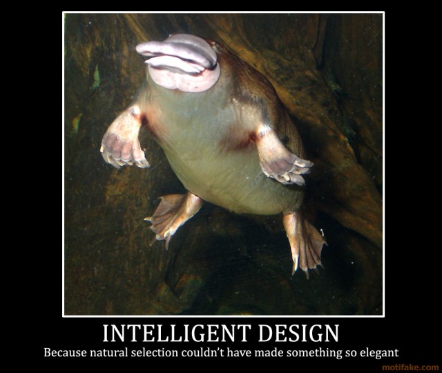 intelligent-design-demotivational-poster
