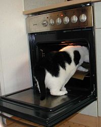 200px-Katze im Ofen